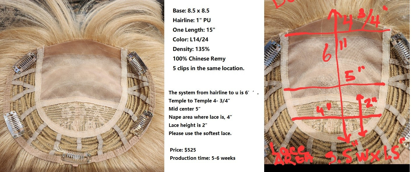 Wholesale Custom Made Hair System for Salon -Francise Towne