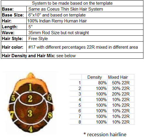 Wholesale Hair Systems for Salon - Ajay