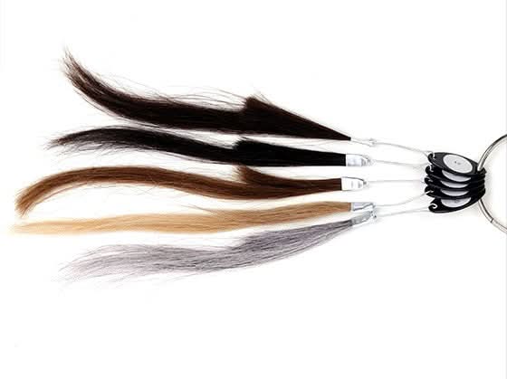 Free Hair Sample | Matching Hair Color at Home