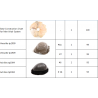 Wholesale Hair System and Ordering Tools Wholesale Hair System and Ordering Tools