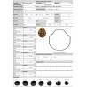 Wholesale Hair Systems for Salon - Ajay Wholesale Hair Systems for Salon - Ajay