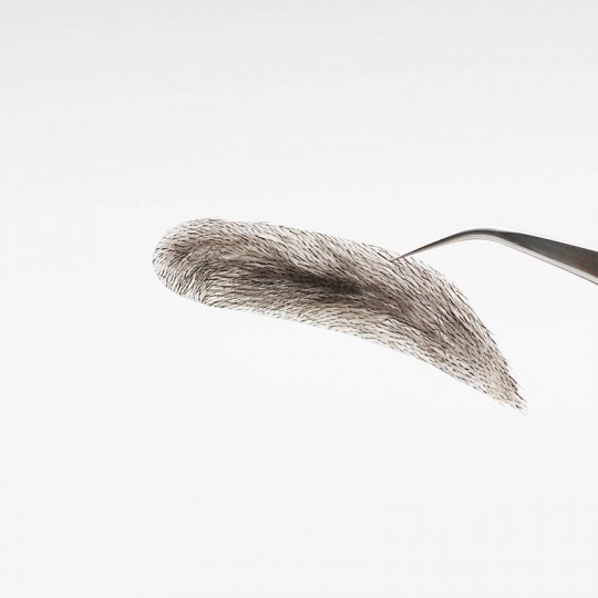 Human Hair Stick On Eyebrow Wigs for Men