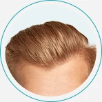 Contour Shape Guide