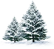 winter sale tab