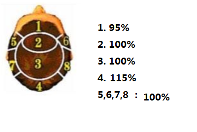 Custom Made Hair System