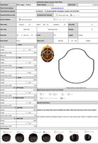 Wholesale Hair Systems for Salon - Ajay